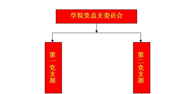 党总支委员会